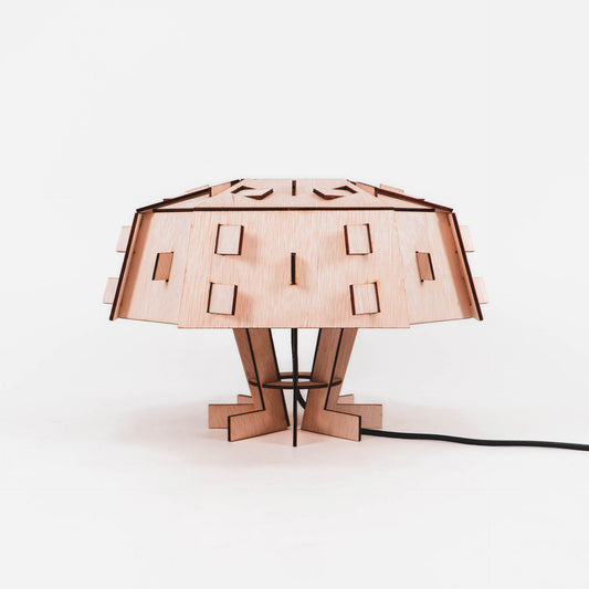 DEX tafellamp van WOMP de houten lamp
